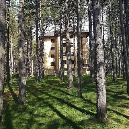 Apartment Sani Zlatibor