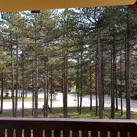 Sani Zlatibor